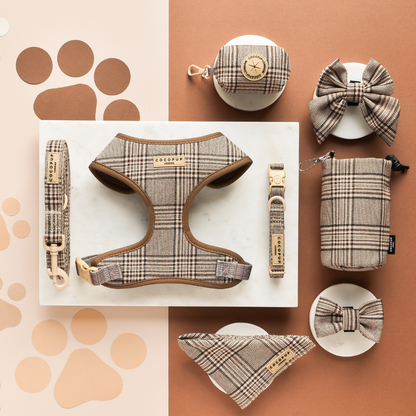 Laisse Pup Plaid