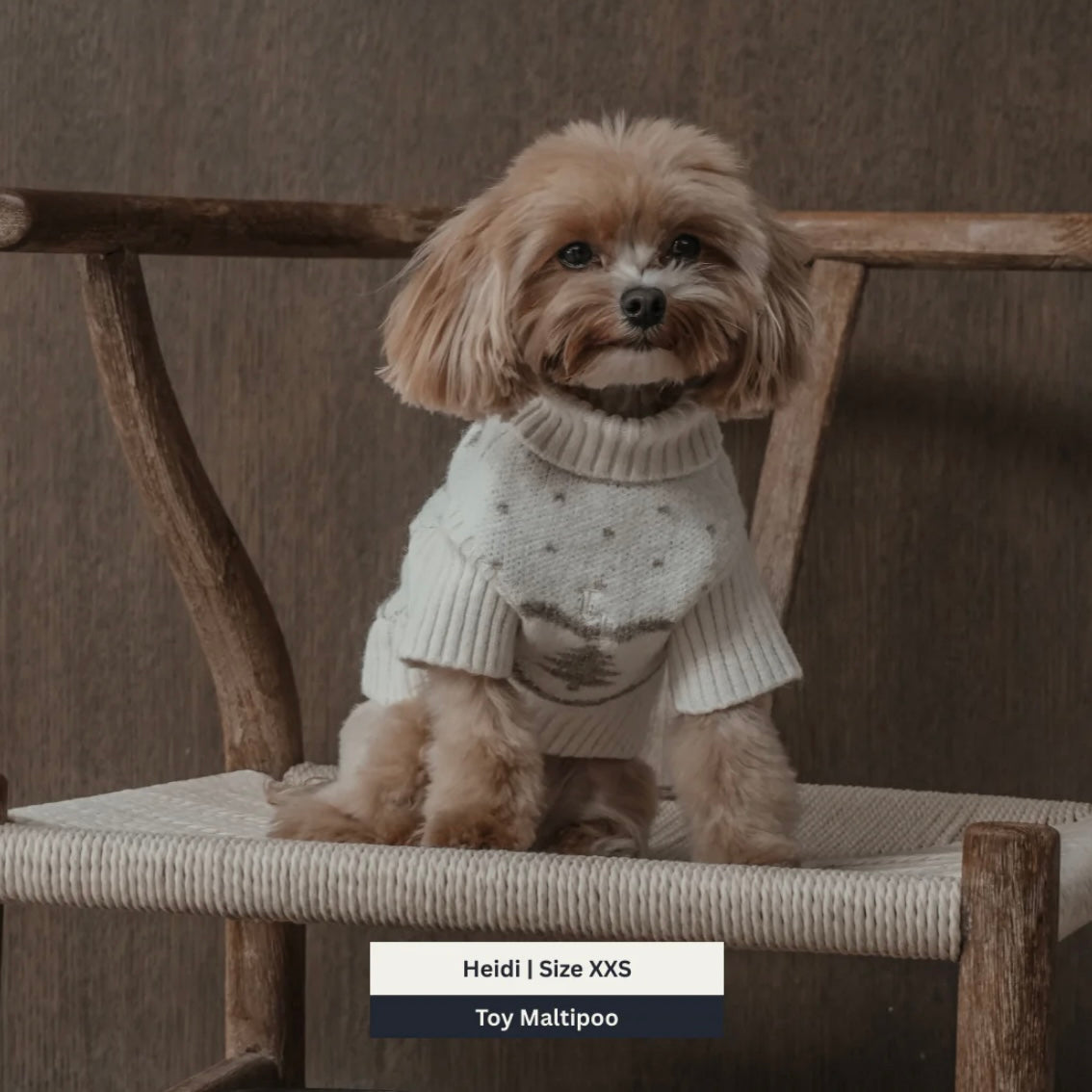 Le Pull à Col Roulé Sapin d’hiver