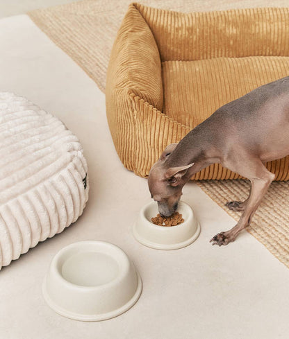 Gamelle pour chien en céramique - Blanc