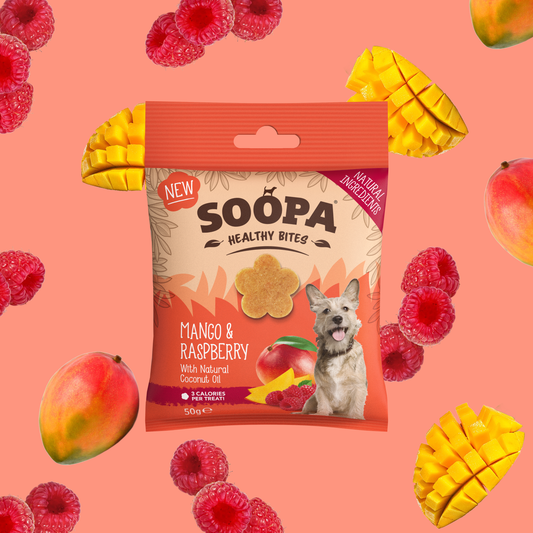 Friandises pour chiens à la mangue et à la framboise