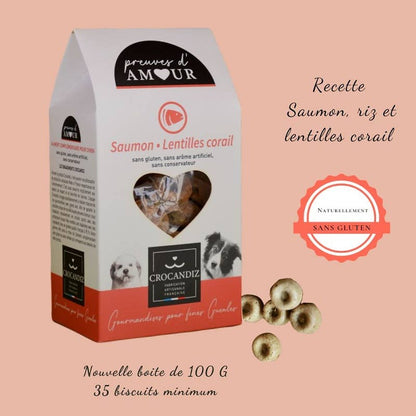 Friandises Biscuits pour chien au saumon : Petit chien