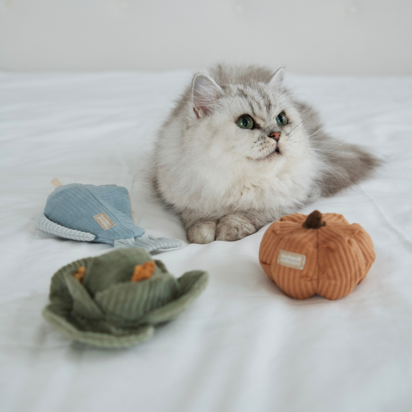 Set de Légumes KITTY