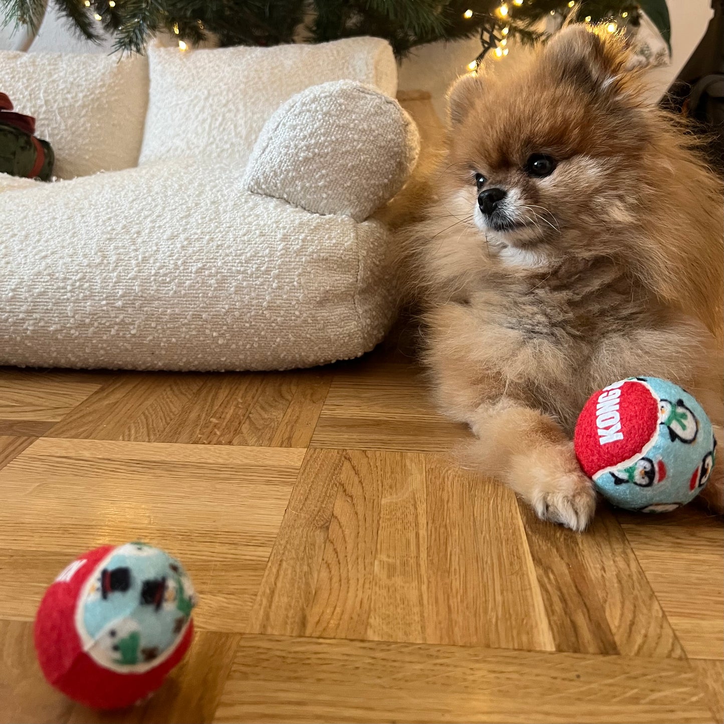 Balle Kong Holiday Noël