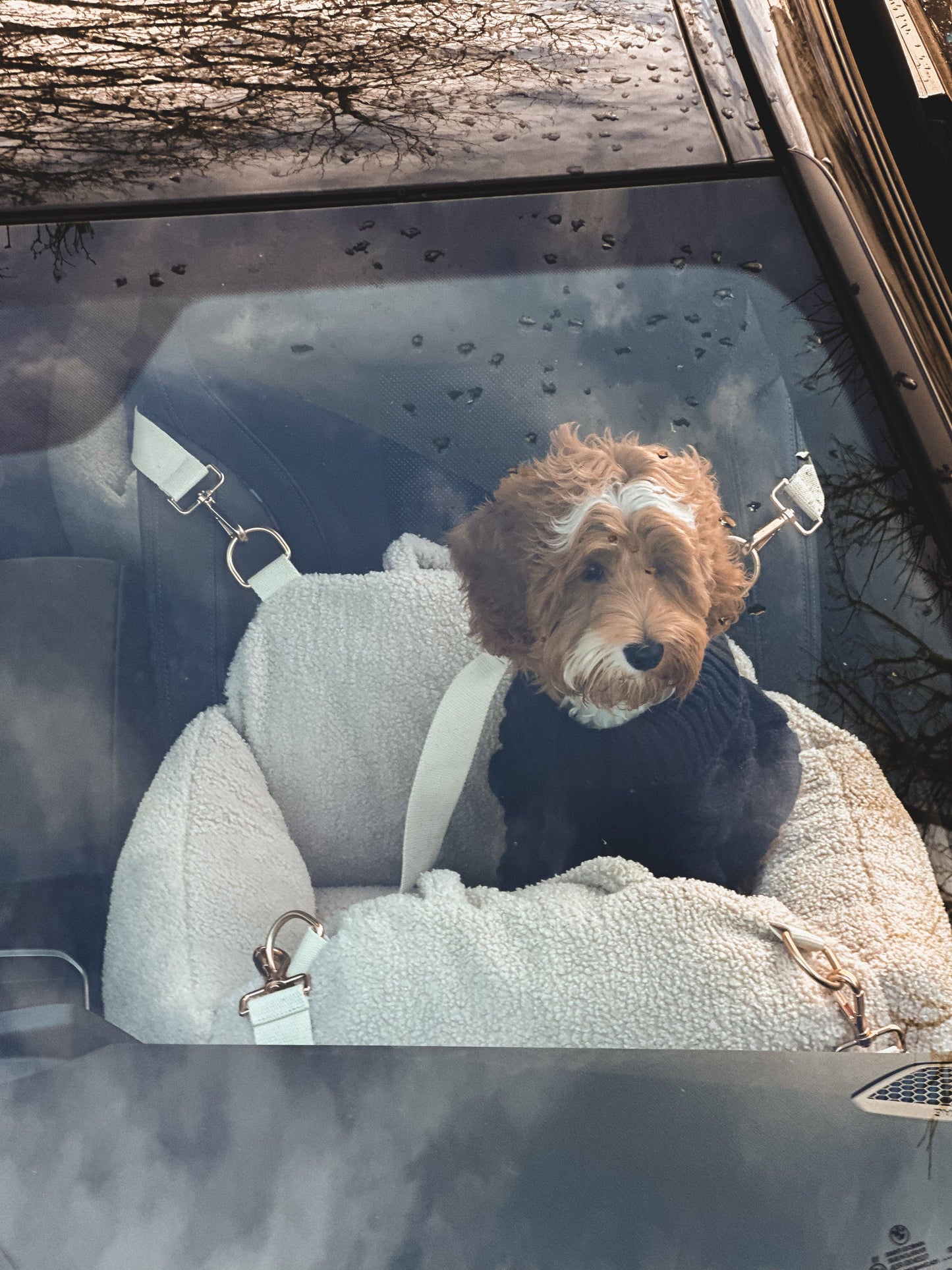 Le siège auto Cosy 3-en-1