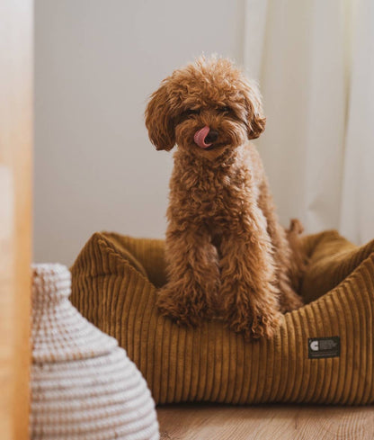 Panier pour chien en velours côtelé - Moutarde