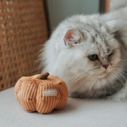 Set de Légumes KITTY