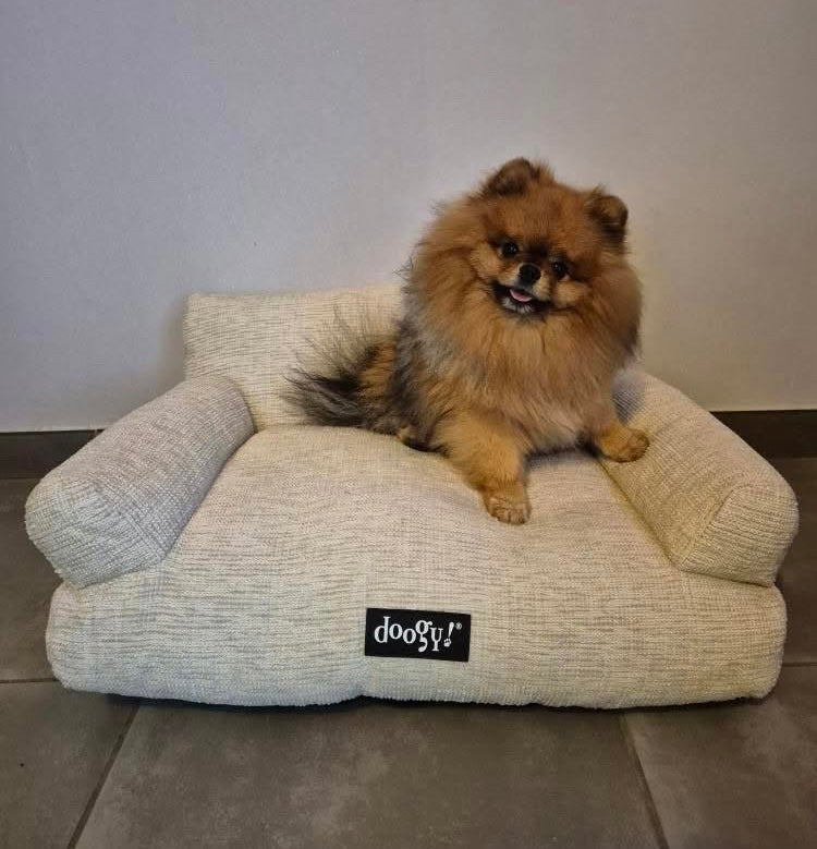 Fauteuil King Beige