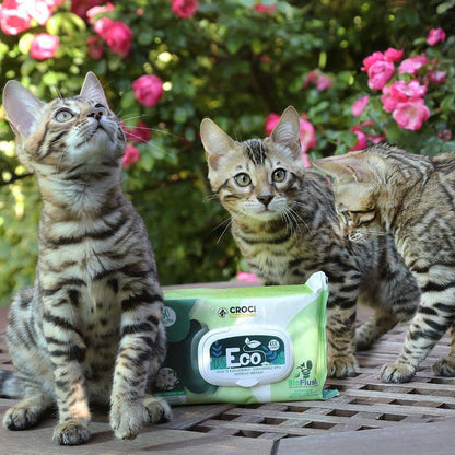 Lingettes humides pour chiens et chats - Beurre d'amande et de karité