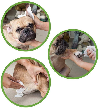 Lingettes humides pour chiens et chats - Beurre d'amande et de karité