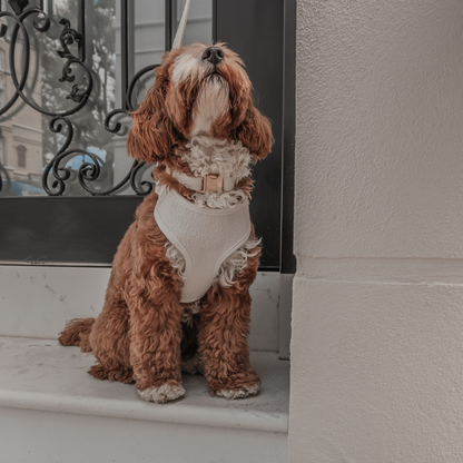 Harnais ajustable Marshmallow Bouclé