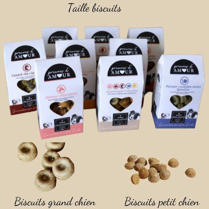 Friandises Biscuits pour chien au saumon : Petit chien