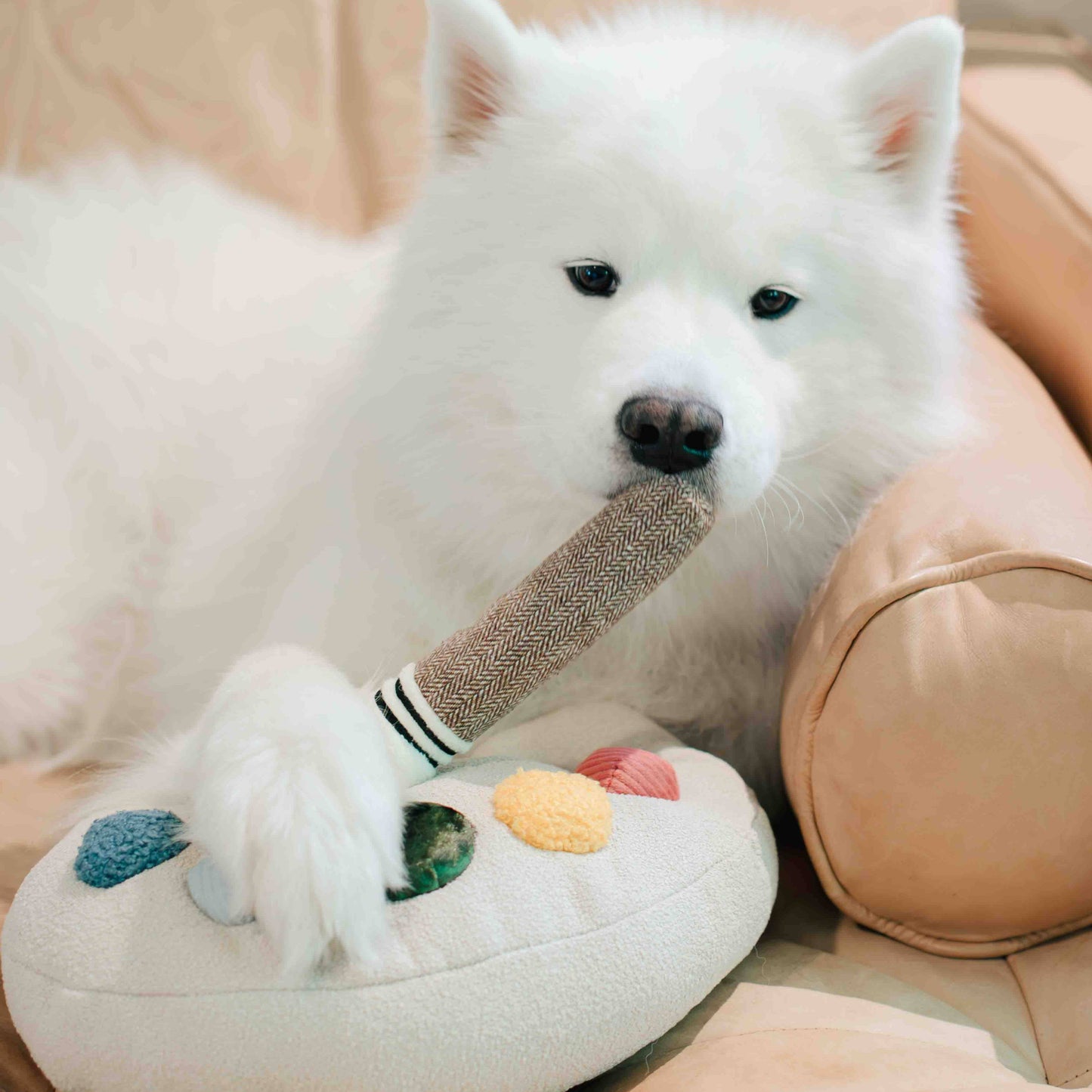 Jouet d’enrichissement Palette de couleurs