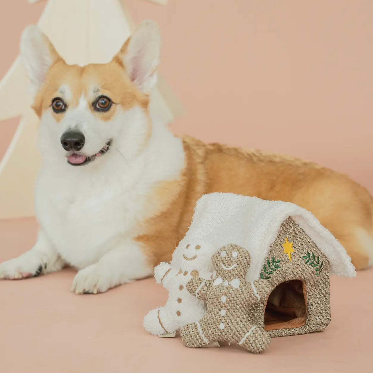 Jouet Maison en Pain d'épices