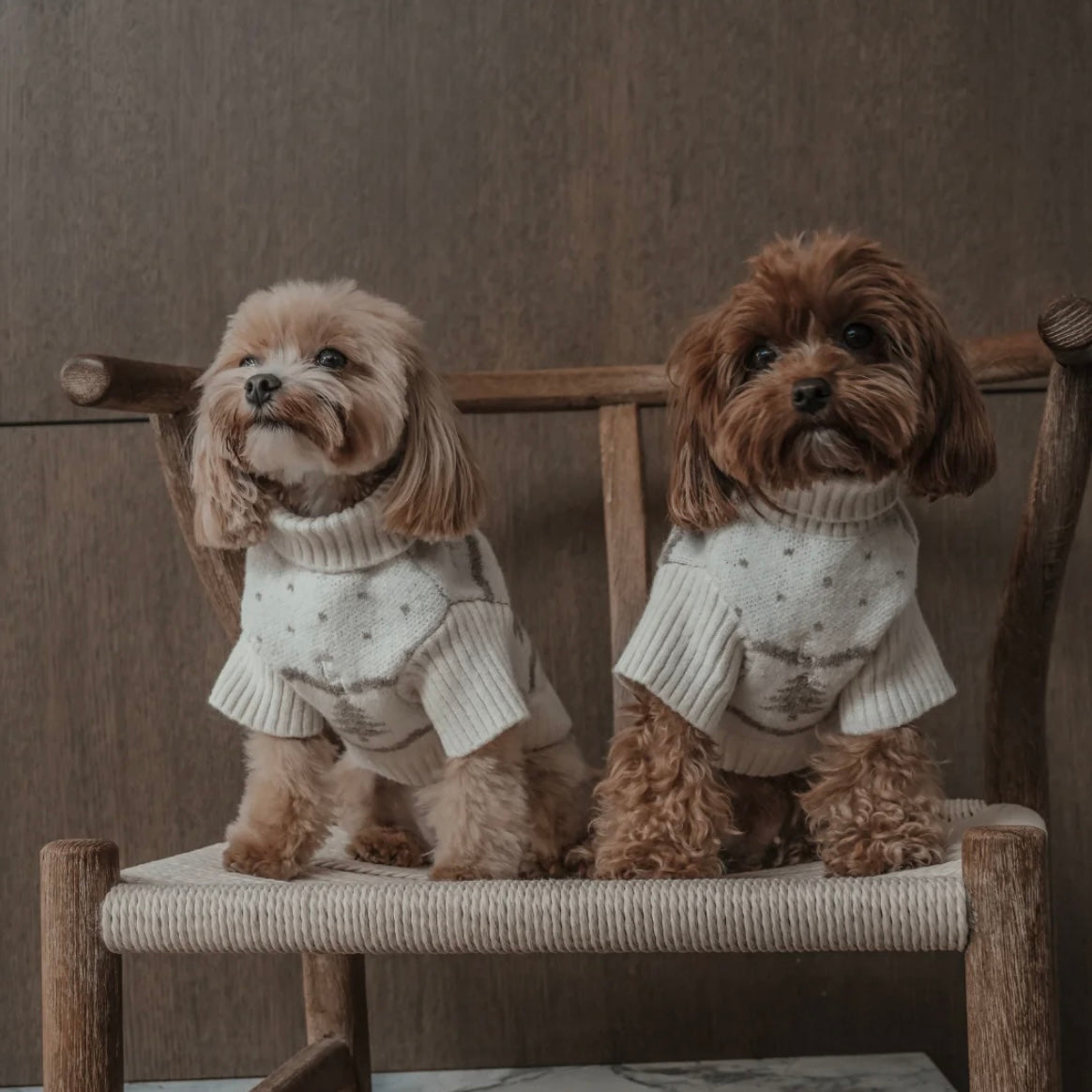 Le Pull à Col Roulé Sapin d’hiver