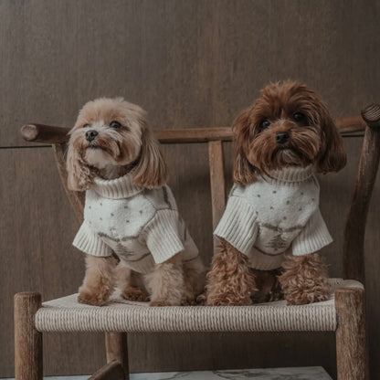 Le Pull à Col Roulé Sapin d’hiver