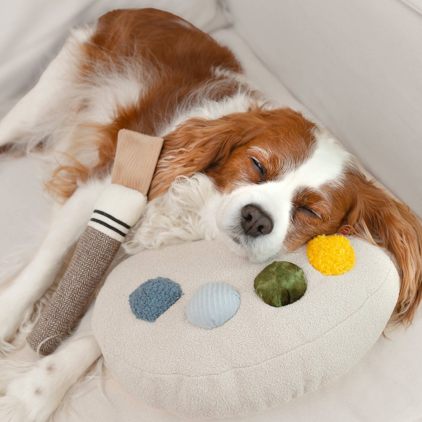 Jouet d’enrichissement Palette de couleurs