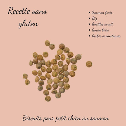 Friandises Biscuits pour chien au saumon : Petit chien