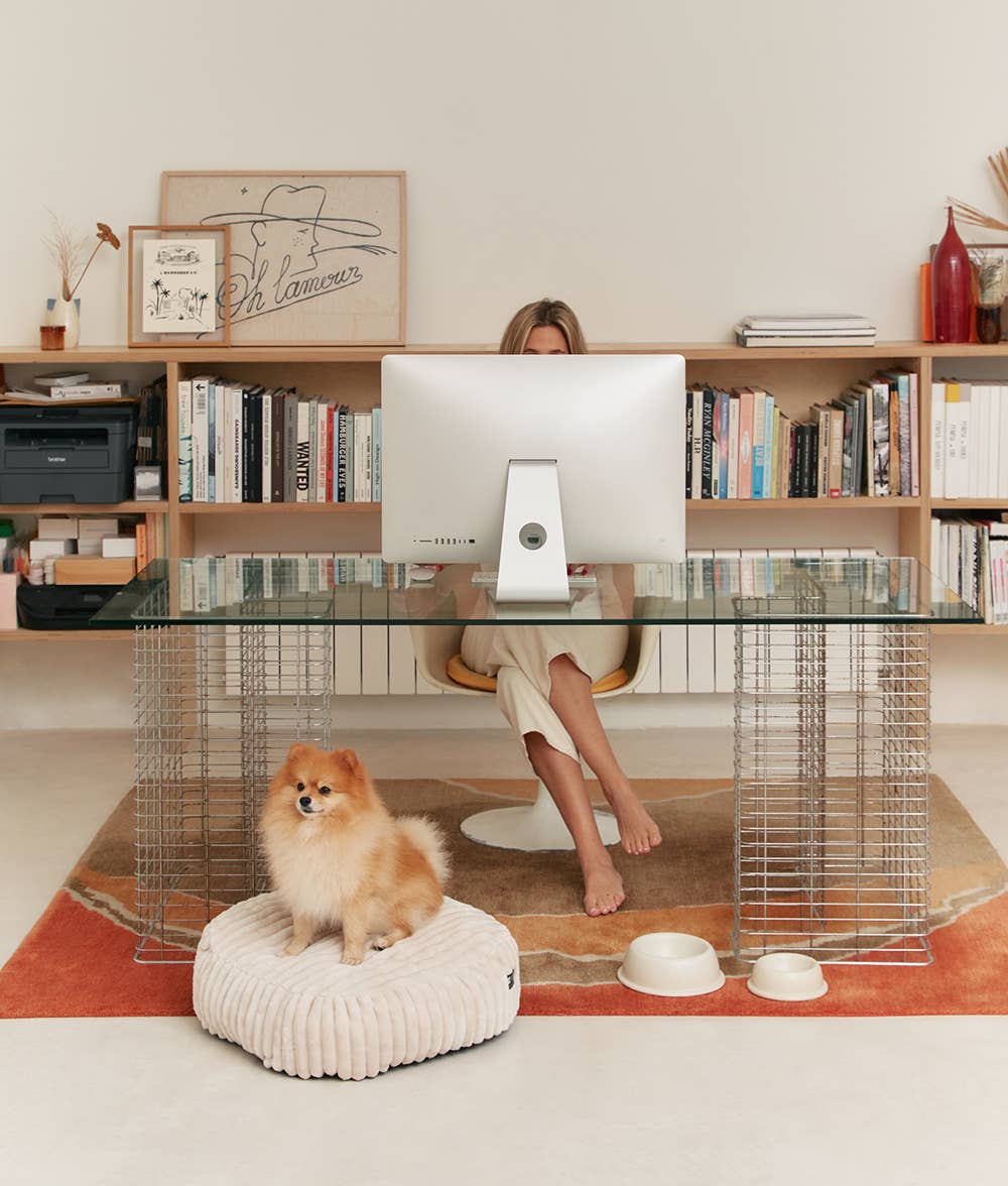 Gamelle pour chien en céramique - Blanc