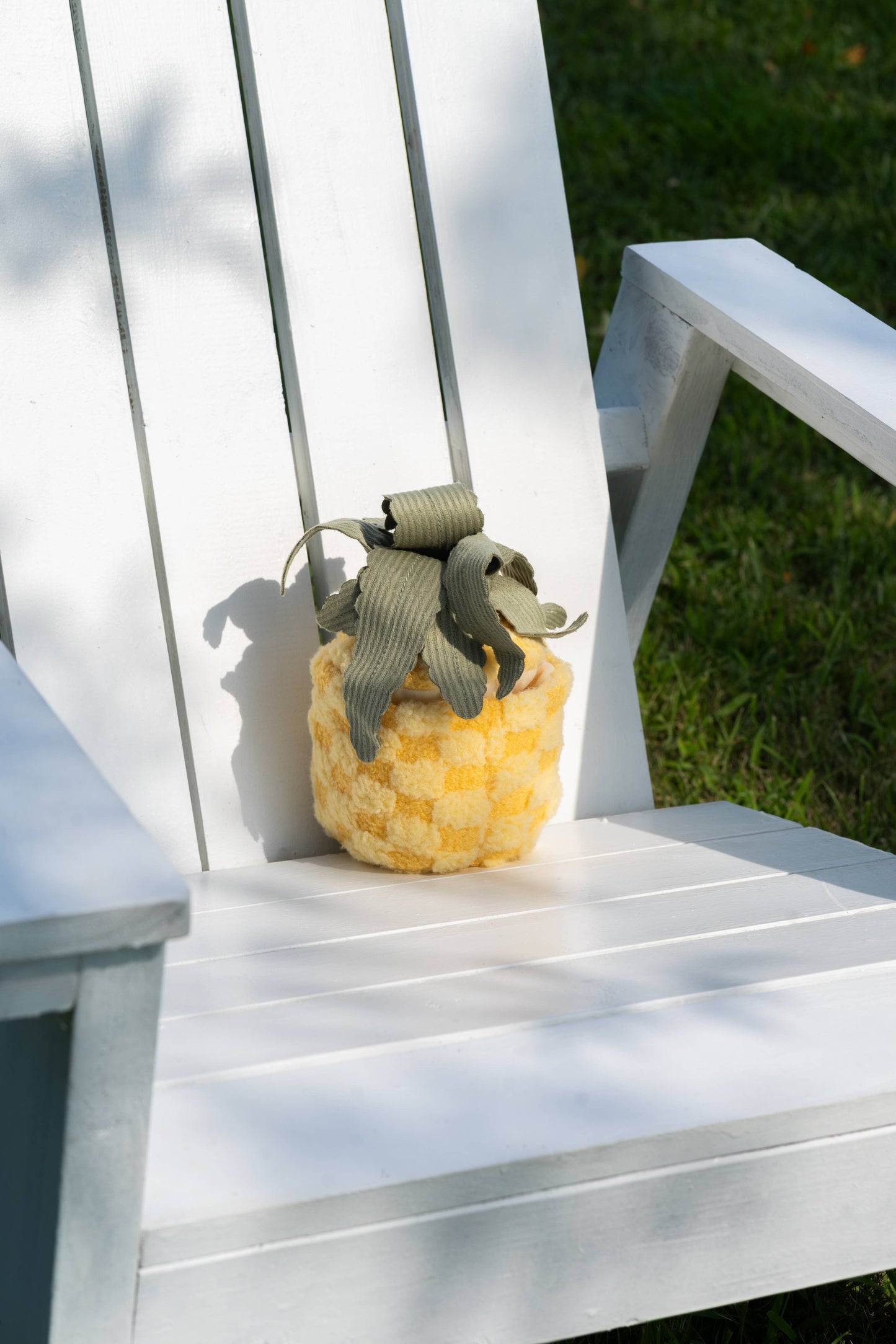 Jouet d’enrichissement PINEAPPLE POP