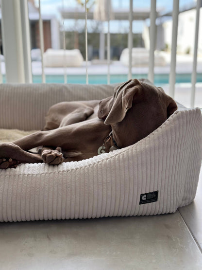 Panier pour chien en velours côtelé - Blanc