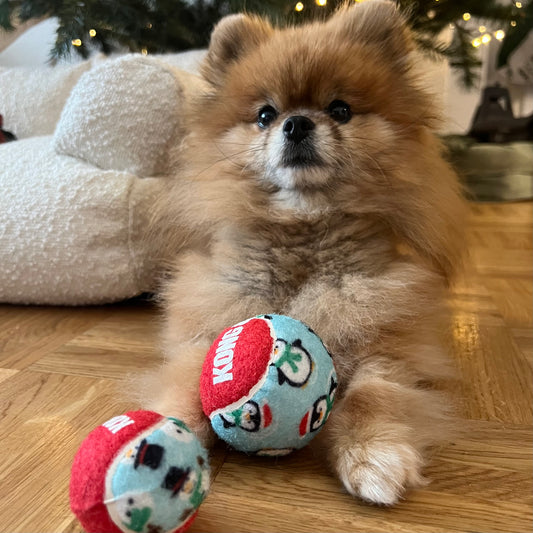 Balle Kong Holiday Noël