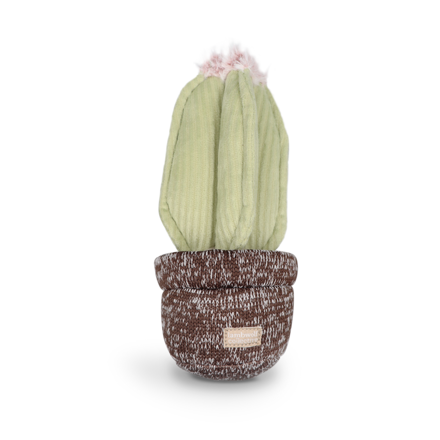 Jouet Cactus