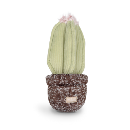 Jouet Cactus