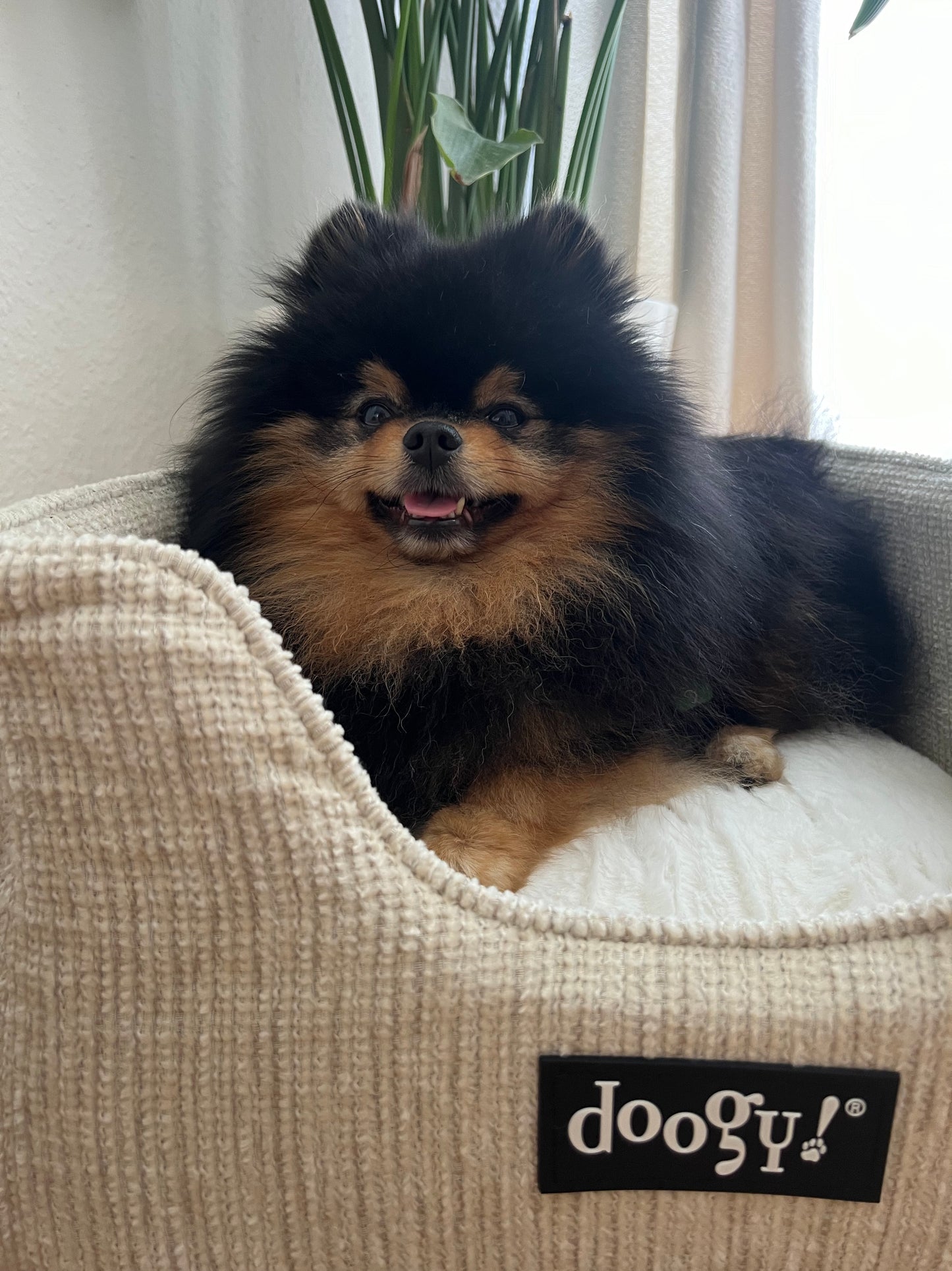 Corbeille King Beige