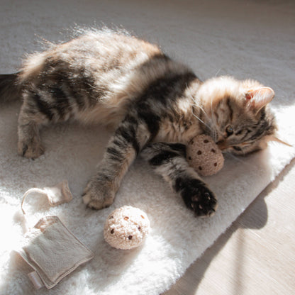 Jouet l’Heure du Thé