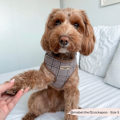 Harnais ajustable Pup Plaid