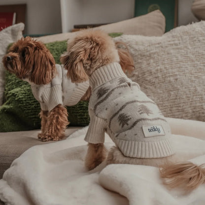 Le Pull à Col Roulé Sapin d’hiver