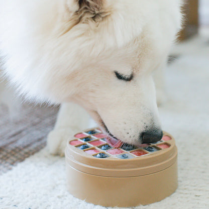 BENTO 3 EN 1 BEIGE