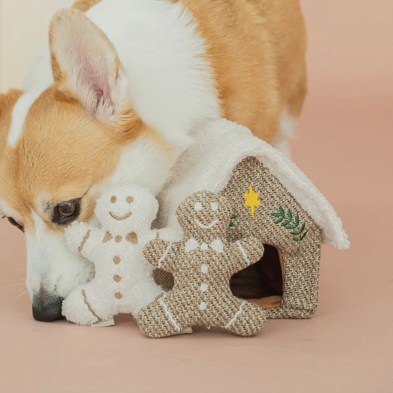 Jouet Maison en Pain d'épices