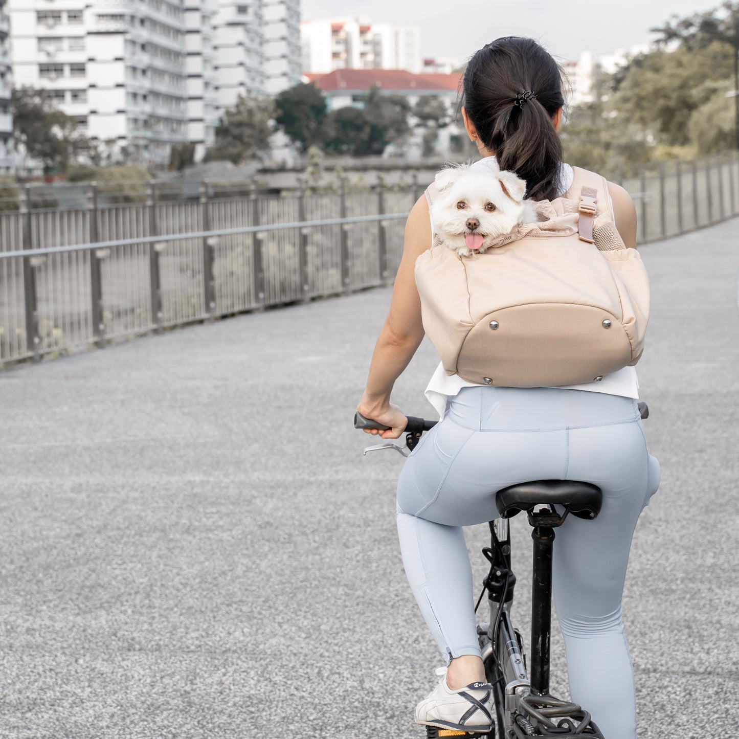 Sac de transport Teddy