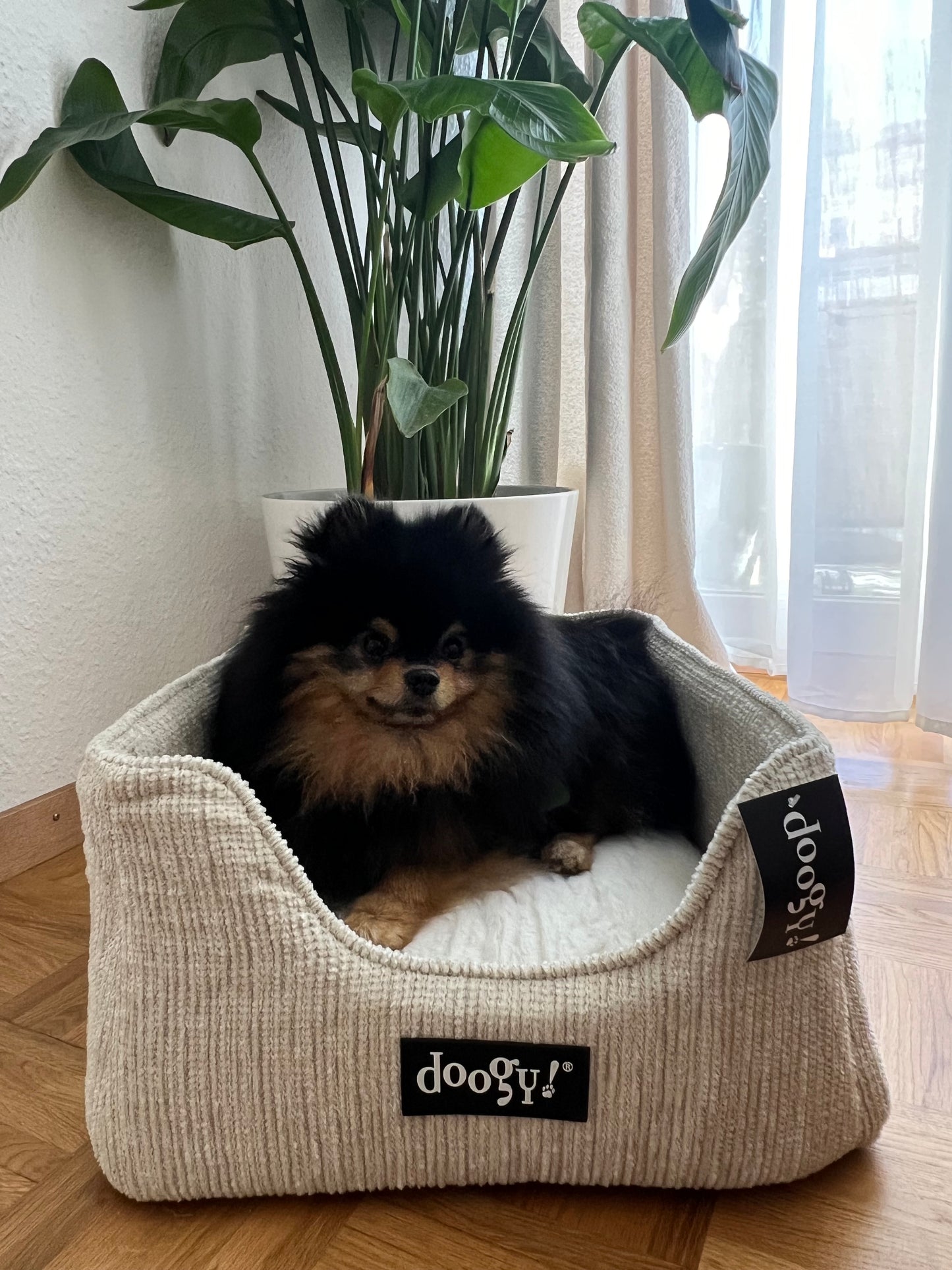 Corbeille King Beige