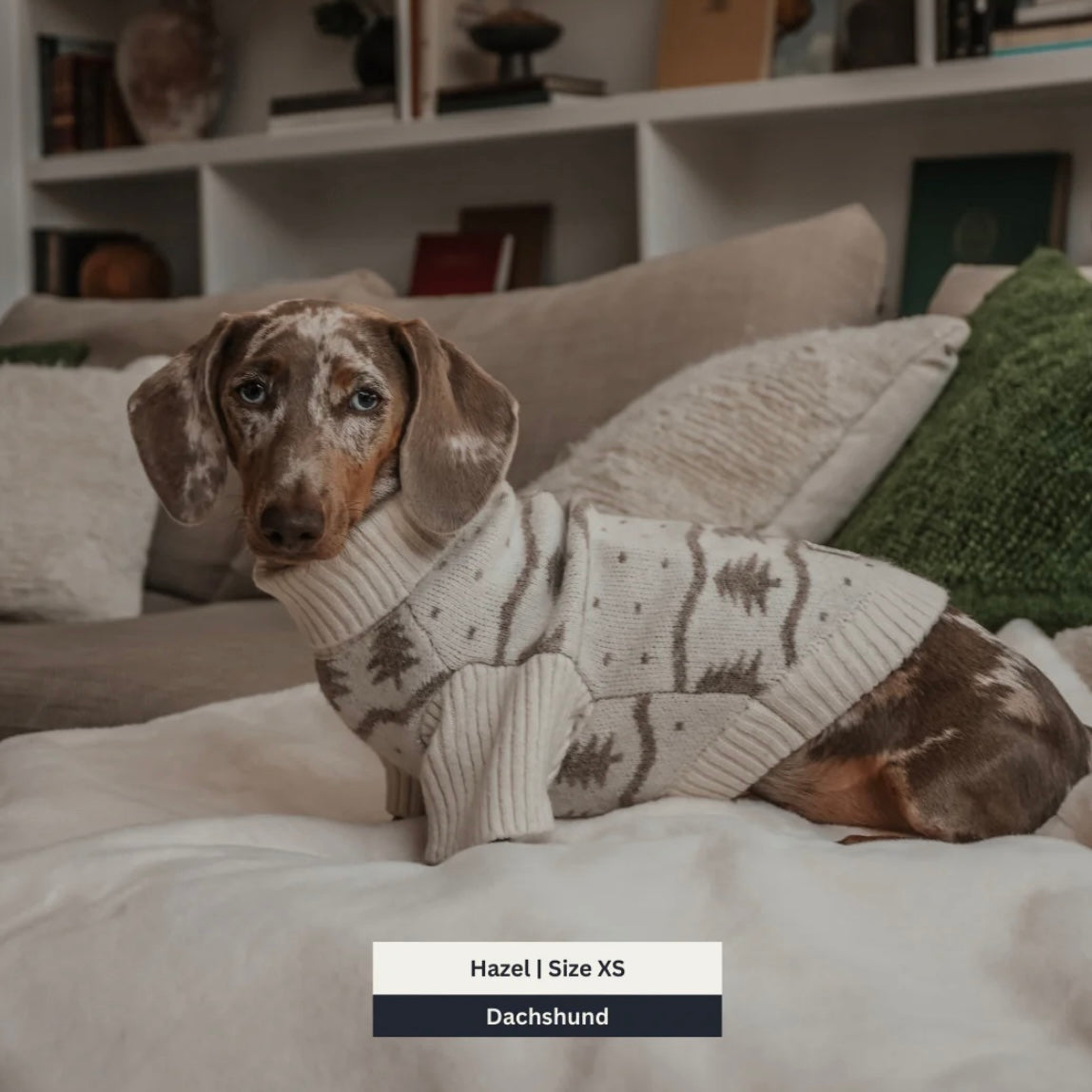 Le Pull à Col Roulé Sapin d’hiver