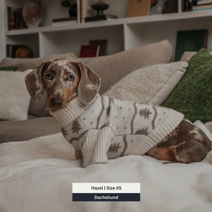 Le Pull à Col Roulé Sapin d’hiver