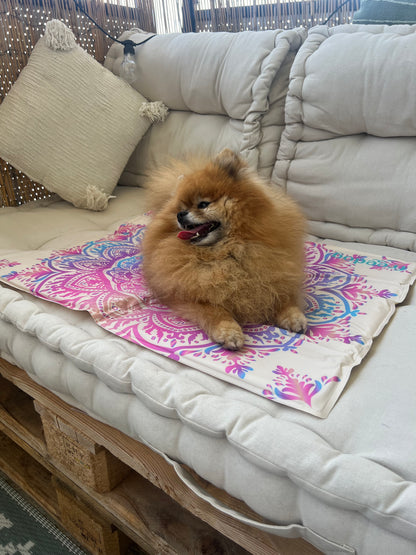 Tapis rafraîchissant AZTHÈQUE BEIGE pour Chien et Chat