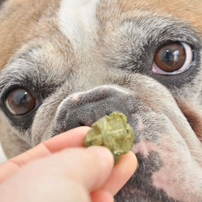 Floky Friandises naturelles