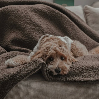 Plaid Bouclé Marron