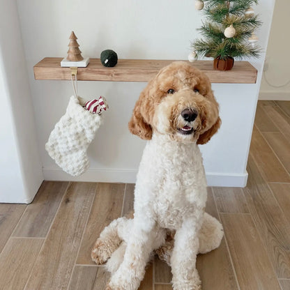 Jouet Botte Chaussette de fouille