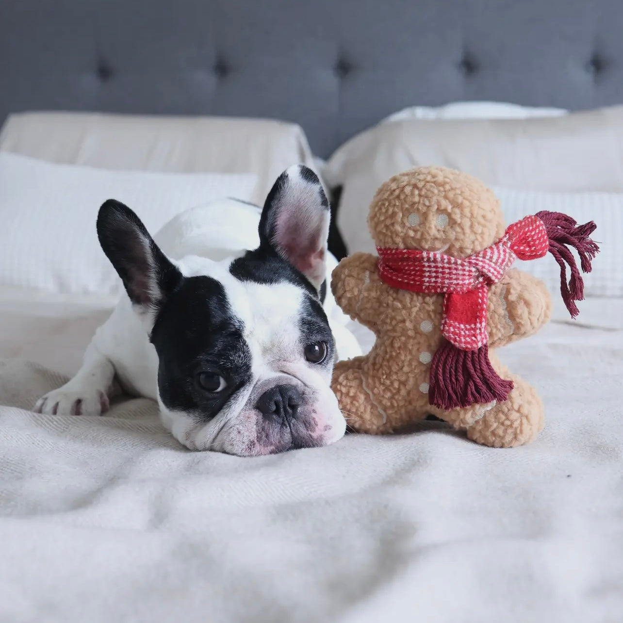 Jouet Bonhomme Pain d'épices
