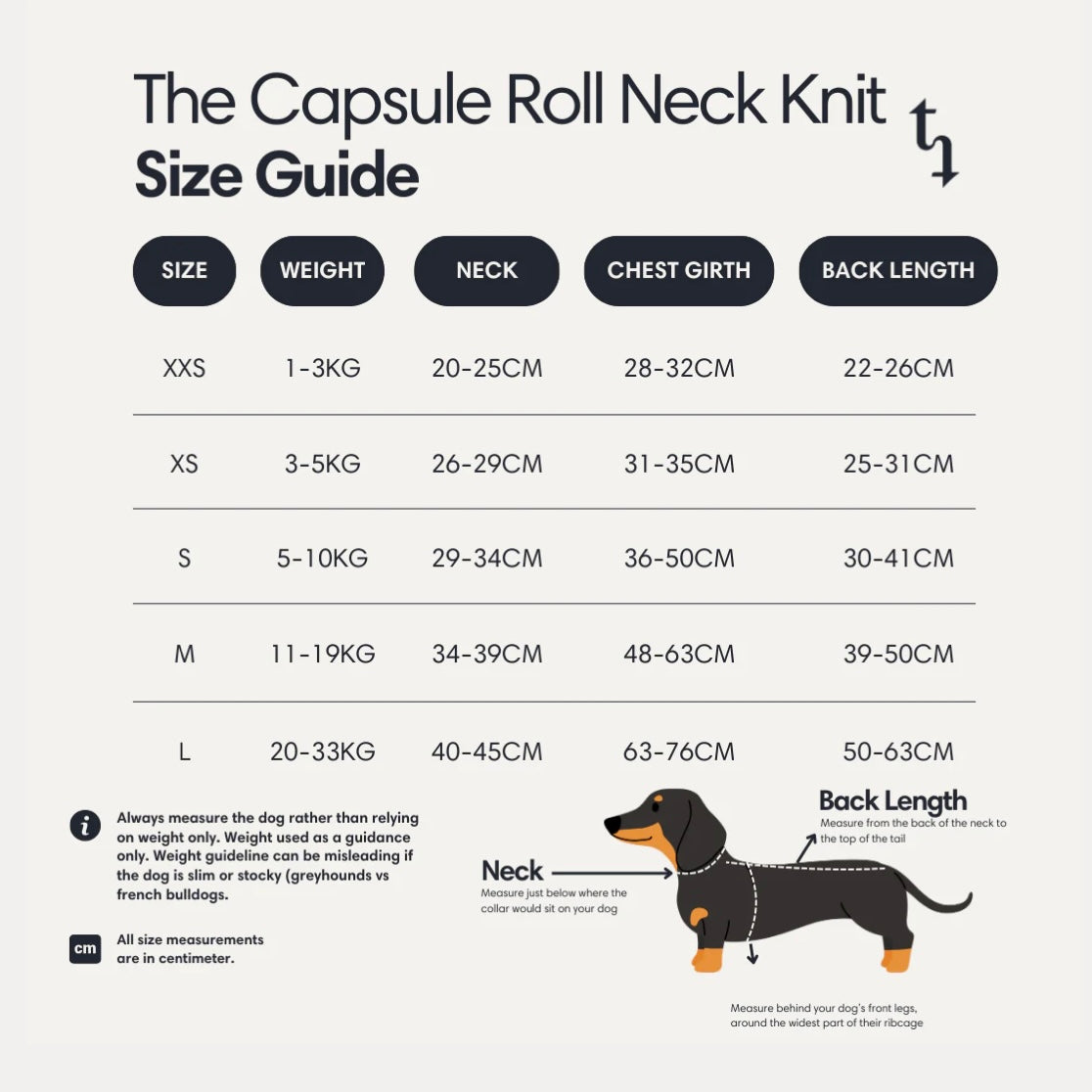 Le Pull à Col Roulé Sapin d’hiver