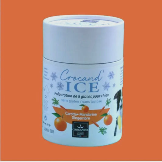 Glace pour chien Carotte Mandarine