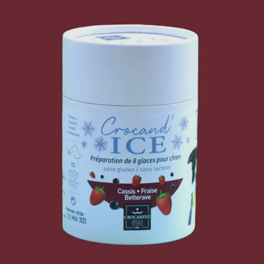 Glace pour chien Cassis et Fraise