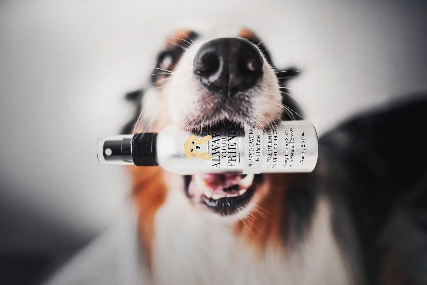 Parfum PUPPY Always Your Friend