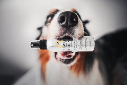 Parfum PUPPY Always Your Friend