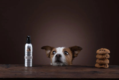 Parfum Sweet Love - Chocolat Cookie Always Your Friend
