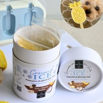 Glace pour chien Coco Banane