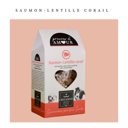 Friandises Biscuits pour chien au saumon : Petit chien